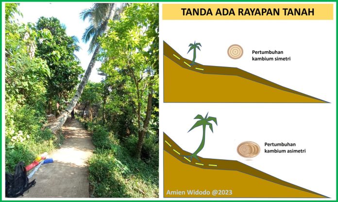 Tanah Bergerak