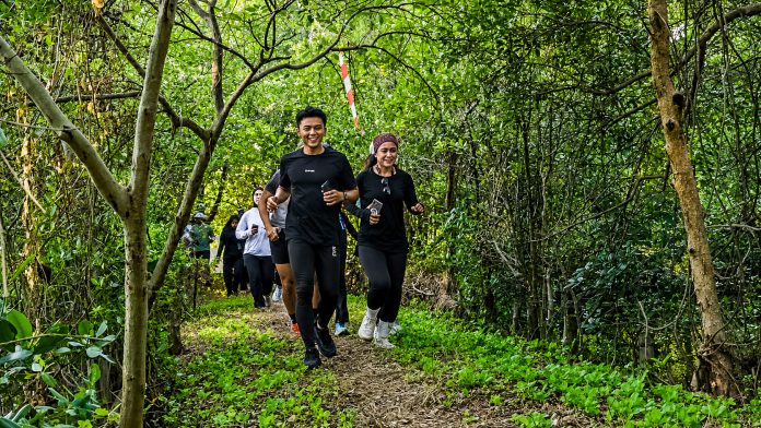 Mangrove Trail Run
