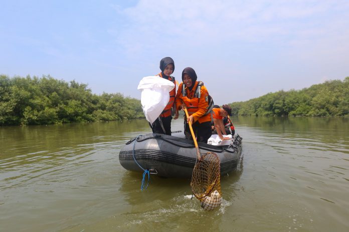 Sampah Plastik Mangrove