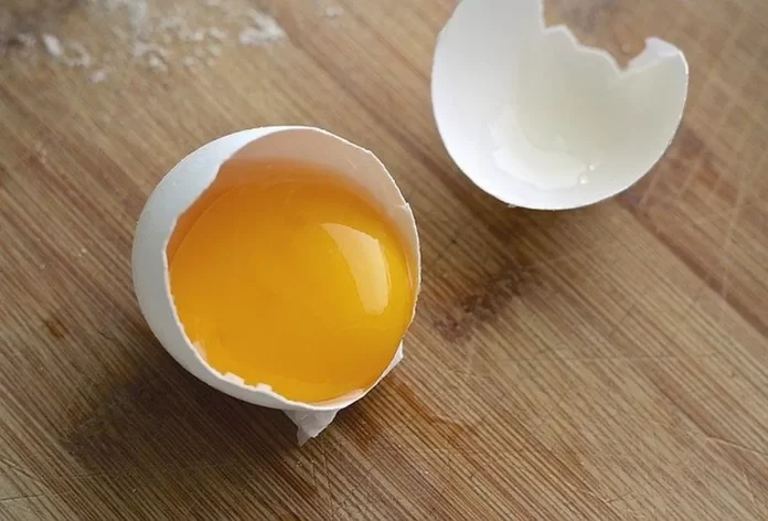 Bahaya Pemberian Telur Mentah